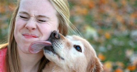 Dogs licking clit. Things To Know About Dogs licking clit. 