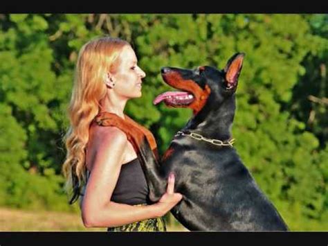Dogs sexing women. Things To Know About Dogs sexing women. 