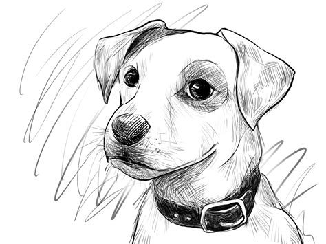 Dogs to draw. This section is contains lots of sketching tutorials of them. There are many different breeds of dogs, each with their own unique features and personality. When it comes to drawing them, there are a few things to keep in mind. First, … 
