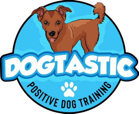 Dogtastic Northwest Arkansas Dog Training