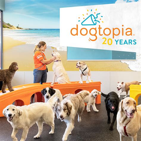 Dogtopia is a national pet care company, of