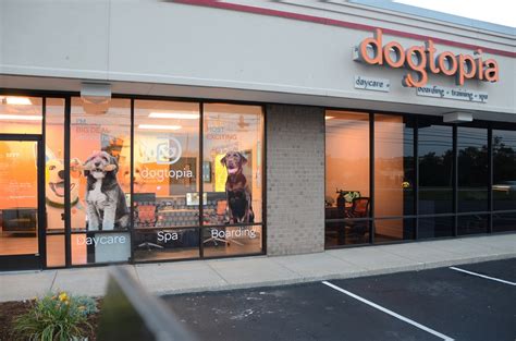 Dogtopia has an average rating of 3.8 from 1759 reviews. The rating indicates that most customers are generally satisfied. The official website is dogtopia.com. Dogtopia is popular for Pet Sitting, Pet Boarding, Pet Services, Pet Groomers, Pets. Dogtopia has 51 locations on Yelp across the US.. 