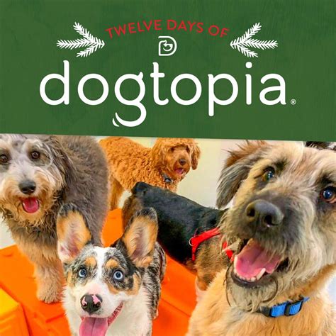 Dogtopia of Memorial. Dogtopia is the leading destination for dog daycare, boarding and spa services. Our mission is to make sure your four-legged family members are kept safe and have a fun time when they are at our modern, open-play facility.. 