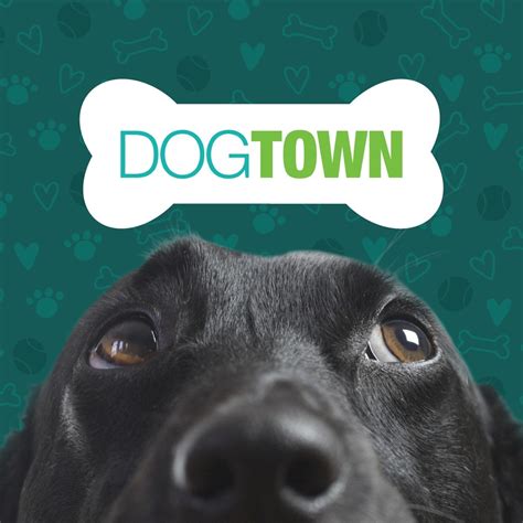 Dogtown cincinnati. Schedule your visit to our gentle groomers! It's not just a daycare, it's DOGTOWN!!!! 