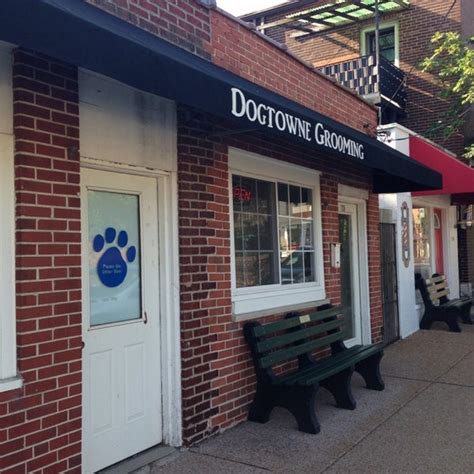 Dogtowne Dog Grooming - St. Louis, MO - Nextdoor