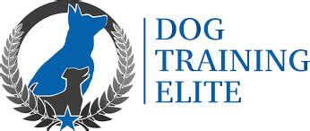 Dogtrainingelite. Things To Know About Dogtrainingelite. 