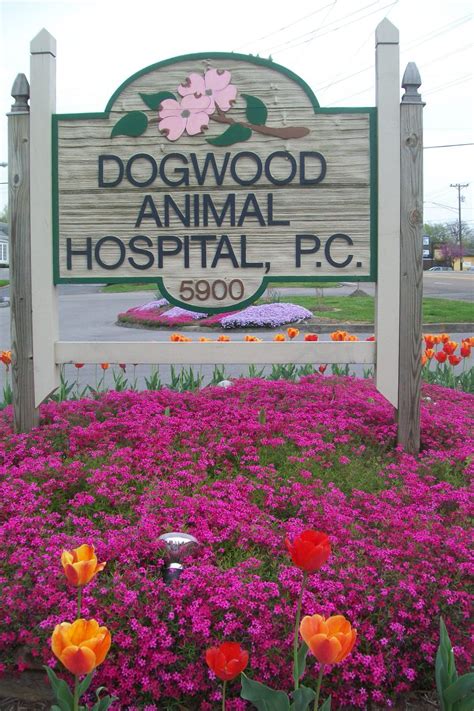 342 customer reviews of Dogwood Animal Hospital. One of the best Veterinarians businesses at 627 Bonanza Drive, Fayetteville, NC 28303 United States. Find reviews, ratings, directions, business hours, and book appointments online. ... Dogwood Animal Hospital is a full service animal hospital and welcomes both emergency treatment cases as well .... 