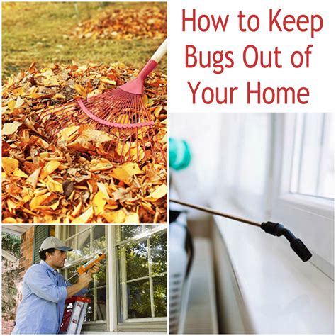 Doityourself pest control. Things To Know About Doityourself pest control. 