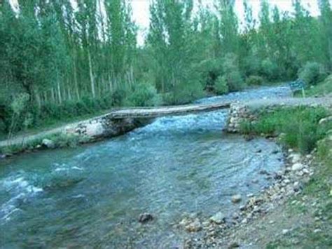 Dokuztay Halı ve Koltuk Yıkama