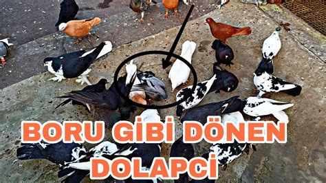 Dolapci Halı ve Koltuk Yıkama
