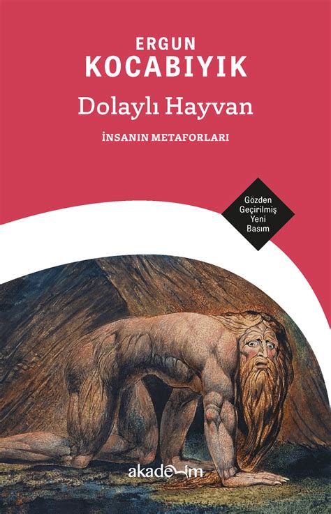 Dolayli Halı ve Koltuk Yıkama