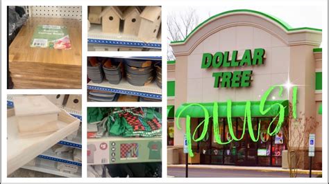 Dollar Tree's investors are feeling the pinch. It is a truth universally acknowledged: When businesses’ costs rise, they will pass off what they can to the customer. In the case of.... 