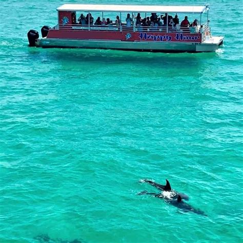 Dolphin cruise pensacola. Dolphin Cruises, Snorkel Tours & Excursions. Book A Dolphin Tour With Frisky Boat Tours Today. Discover the beauty of Pensacola’s marine life with Frisky Boat Tours, where the … 