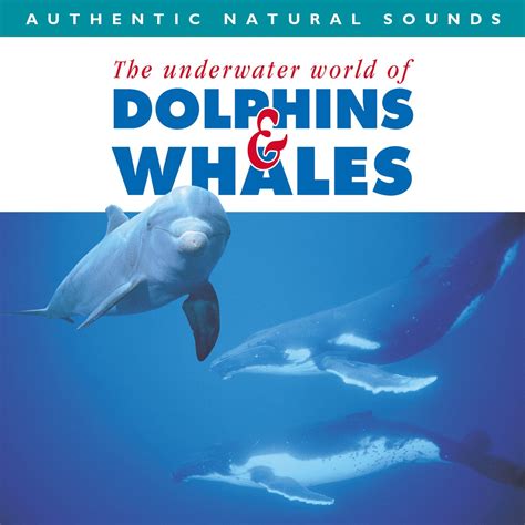 Dolphins and whales ws guides underwater world. - Mercury mariner outboard 3 0 litre work 225 250 efi service repair manual.