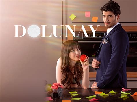 Dolunay Halı ve Koltuk Yıkama
