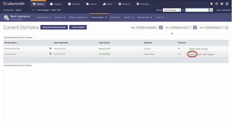 Domain Details Page.