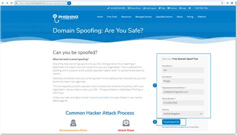 Domain Spoof Test (DST) – Knowledge Base