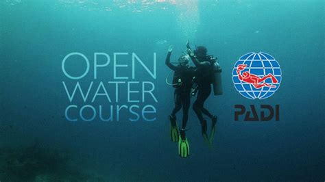 Domande manuali padi open water diver. - 2005 audi a4 timing chain tensioner manual.