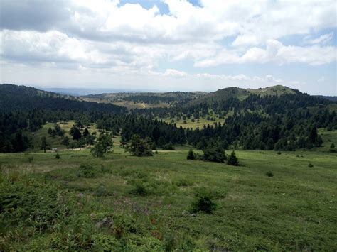 Domanic Halı ve Koltuk Yıkama