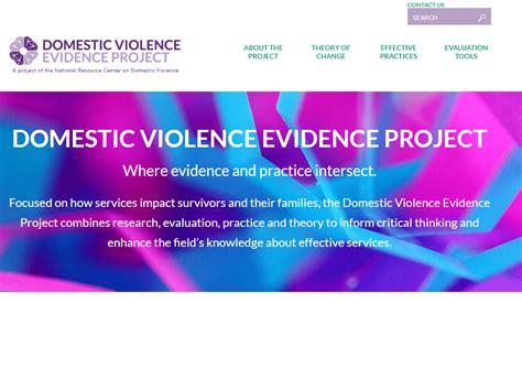 Domestic Violence Evidence Project