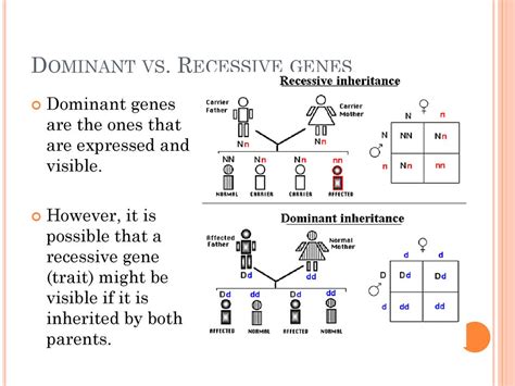 Dominant and Recessive traits Unacademy.