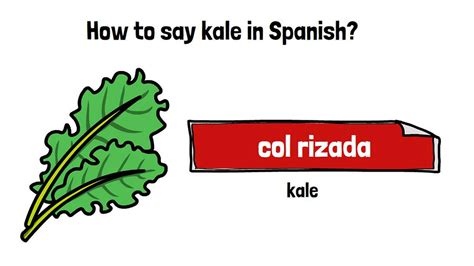 Dominate Spanish Vocabulary: Unlocking the Key to 'How You Say Kale in Spanish'