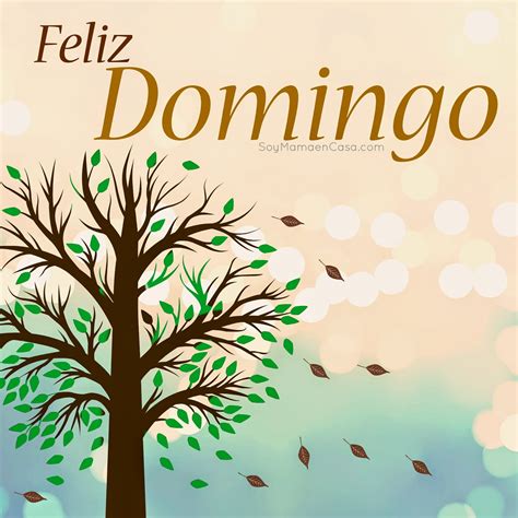 Domingo. Learn how to translate domingo from Spanish to English with the PONS online dictionary. Find usage examples, synonyms, antonyms, and related words for domingo in both … 