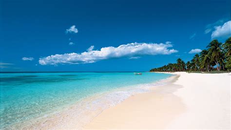 Dominican republic beaches. The Dominican Republic’s shores are washed by the Caribbean Sea to the south and the Atlantic Ocean to the north. ... Millions of tourists visit the country each year to enjoy the colonial architecture, warm climate, and attractive beaches. Trade is also an important component of the service sector. The United States is the country’s single ... 