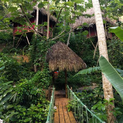Dominican tree house village. Things To Know About Dominican tree house village. 
