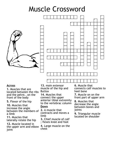 Our website is the best sours which provides you with LA Times Crossword "Don't move a muscle" answers and some additional information like walkthroughs and tips. Using our website you will be able to quickly solve and complete LA Times Crossword game which was created by the LA Times developer together with other games.. 