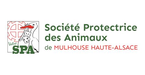 Don spa Mulhouse