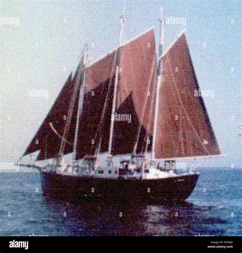 Donald Attig - Wikipedia