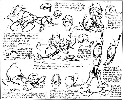 Donald Duck Model Sheets Traditional Animation