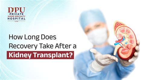 Donating a Kidney Recovery What to Expect