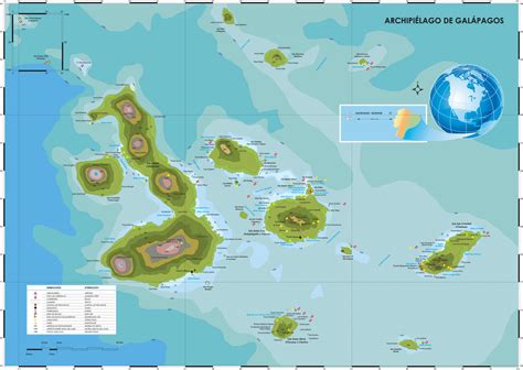 6 Haz 2019 ... Están compuestas por 13 islas principales, cuya extensión varía de 4 ... donde se divisan las tortugas de Galápagos en su hábitat natural.. 