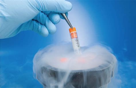 Dondurulmuş embriyo nasıl çözülür