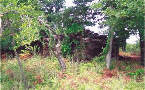 Dongelli Halı ve Koltuk Yıkama