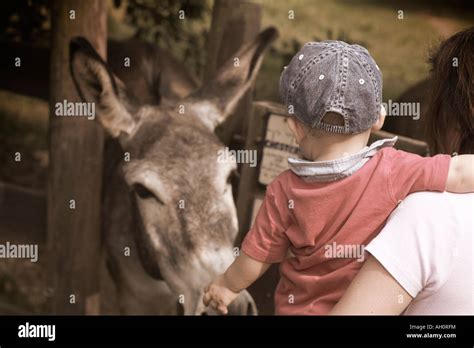 Donkey fuk grils. .  <a href=https://crm.santekhstore.ru:443/y4gs/what-happened-to-link...