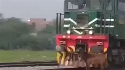 Donkey gets hit by train. Things To Know About Donkey gets hit by train. 