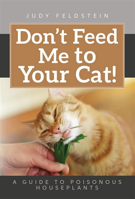 Download Dont Feed Me To Your Cat A Guide To Poisonous Houseplants By Judy Feldstein