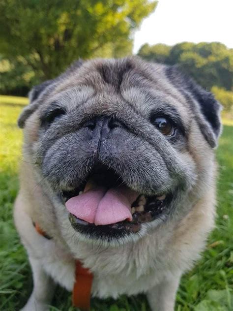 codini.rgarabwor.edu.pl. 