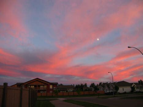 Dopekitten Onlyfans Leaked [HD] 🔥