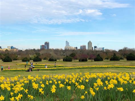 Dorothea dix park raleigh. Look no further than Dorothea Dix Park in downtown Raleigh – your go-to urban haven for a perfect day out. Here is the full scoop on what makes this huge park … 