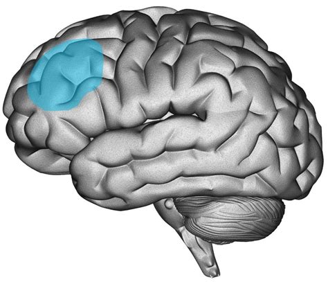 Dorsomedial Prefrontal Cortex Repetitive Transcranial Magnet... : …