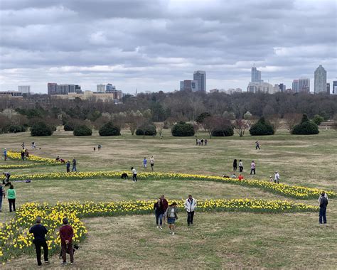 Dorthea dix park. The City of Raleigh owns and operates Dix Park. The Conservancy is a 501(c)(3) nonprofit that exists to support the City in its efforts, serve as its philanthropic partner, and help … 