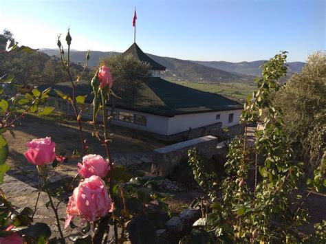 Dorttepe Halı ve Koltuk Yıkama