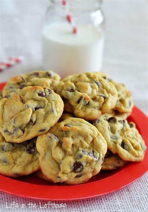 Double Chocolate Chip Cookies with Pudding - Fun Cookie Recipes