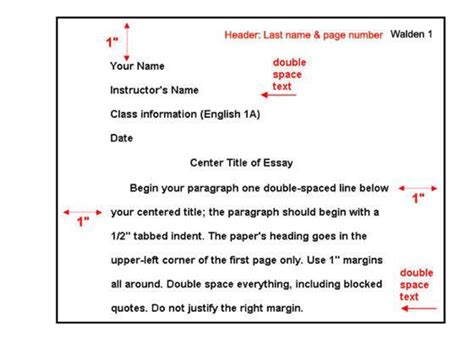 Double Spaced Example Double Spaced Pages Example MLA Format using