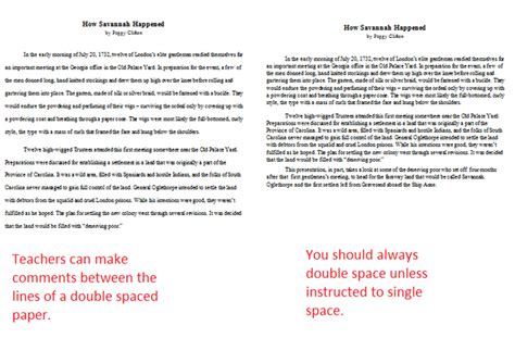 Double Spaced Pages Example Essay Double Spaced Example 500 words