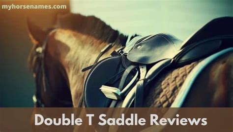 Double T Saddle Reviews: Top 10 Products - Equine Desire